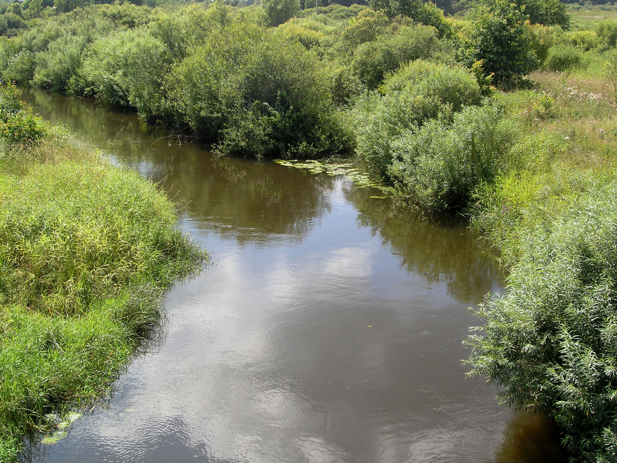 река череха псковская область